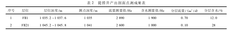 表 2 提撈井產(chǎn)出剖面點(diǎn)測(cè)成果表