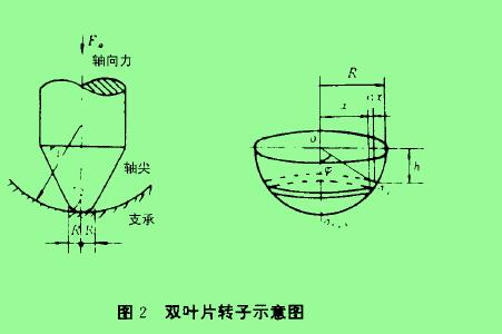 圖2雙葉片轉(zhuǎn)子示愈圖