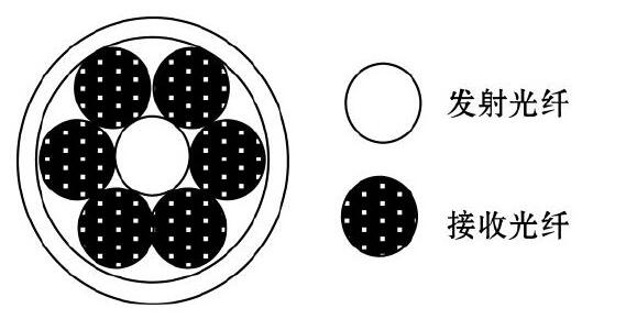 圖2 光纖探頭光纖束排列方式