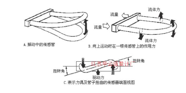 圖2 科氏質(zhì)量流量計(jì)測(cè)量管振動(dòng)示意圖Fig.2 Schematic diagram of measuring tube vibration of coriolis mass flowmeter